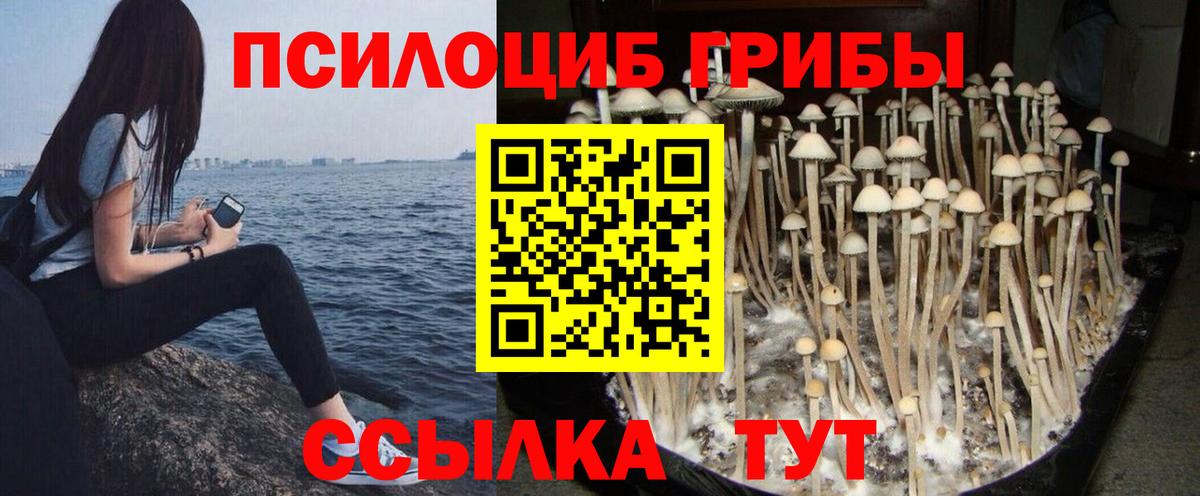 Тольятти  Галлюциногенные грибы Magic Shrooms  Вход с VPN 